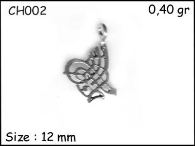 Gümüş Charm Kolye Ucu - CH002 - 1