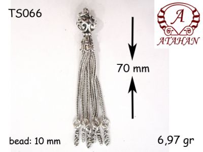 TS066 - 1